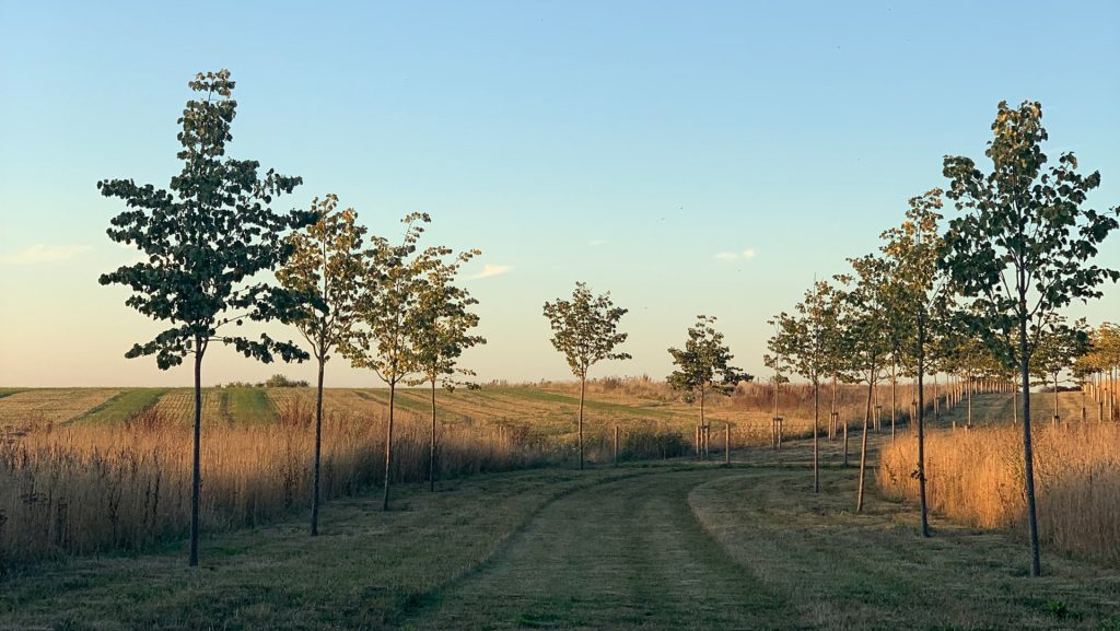 America Farm