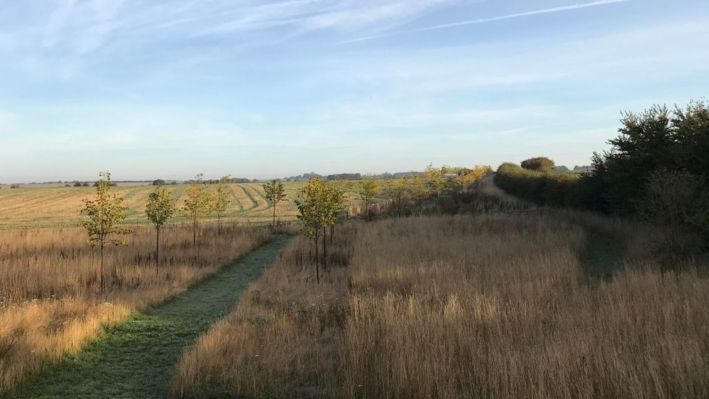 America Farm