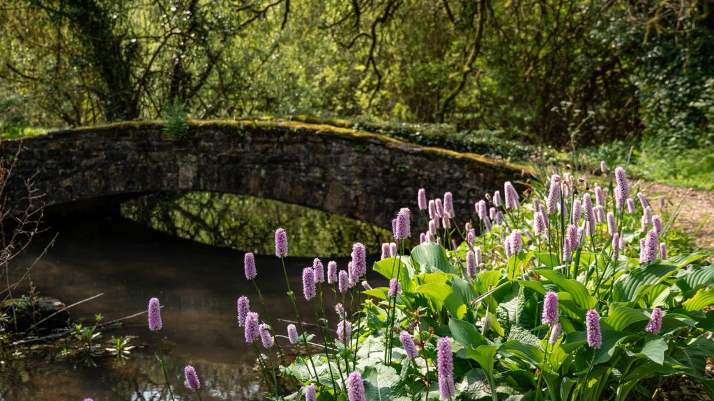 Midsummer Mill