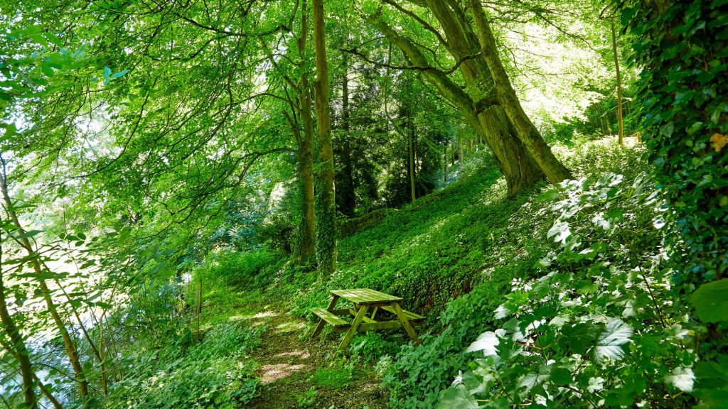 Carter’s Close Bibury