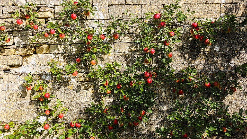 Temple Guiting Manor
