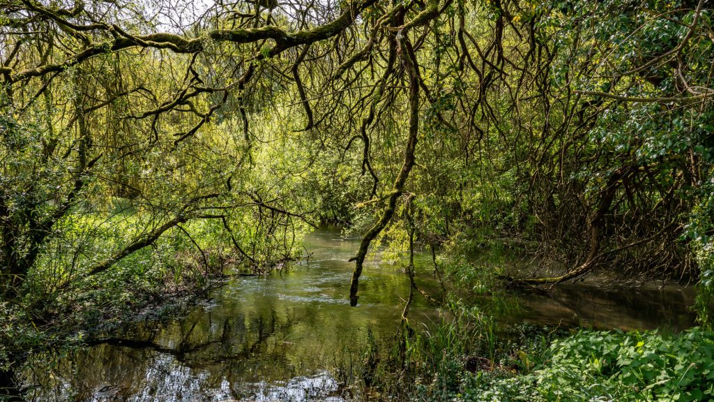 Midsummer Mill