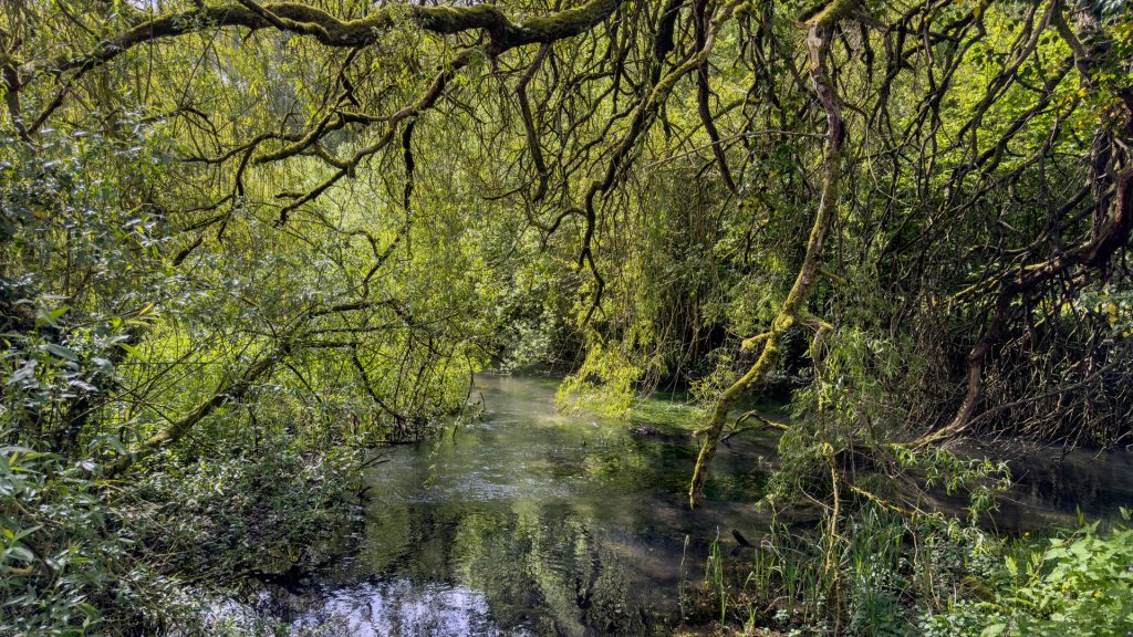 Midsummer Mill
