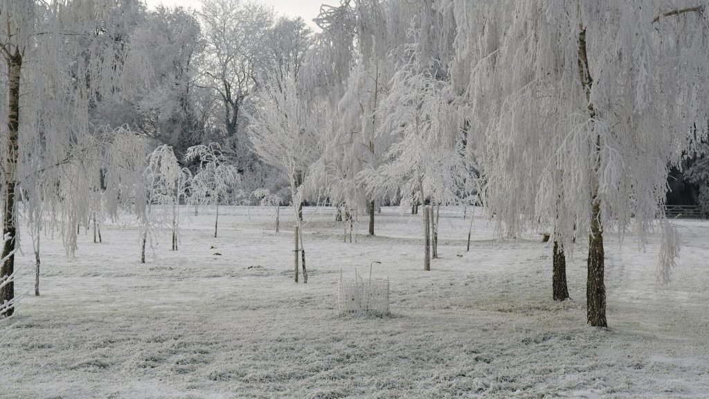 Kingscote Park
