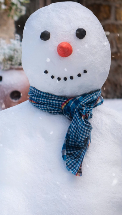 A White Christmas Wish Comes True