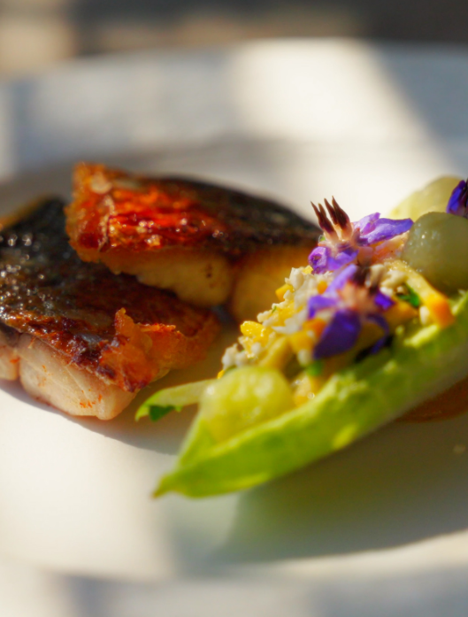 Chef Culture Cooking over Fire at Congrove