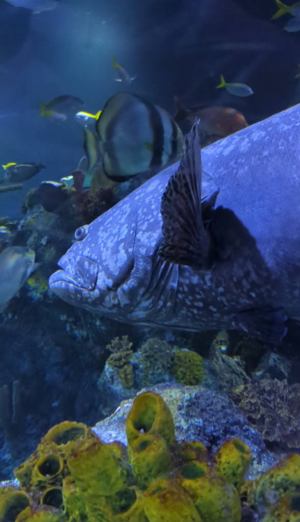 Bristol Aquarium